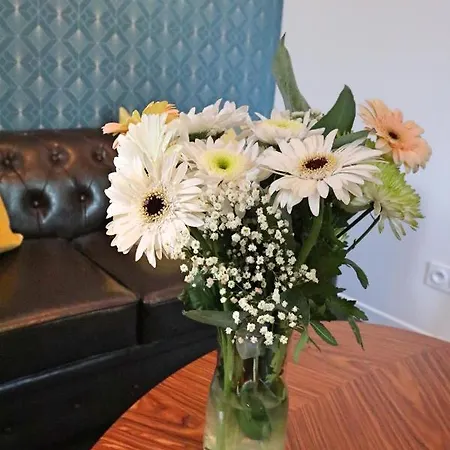 Noellet - Clermont Ferrand